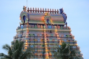 kumbabishekam Srirangam vellai gopuram